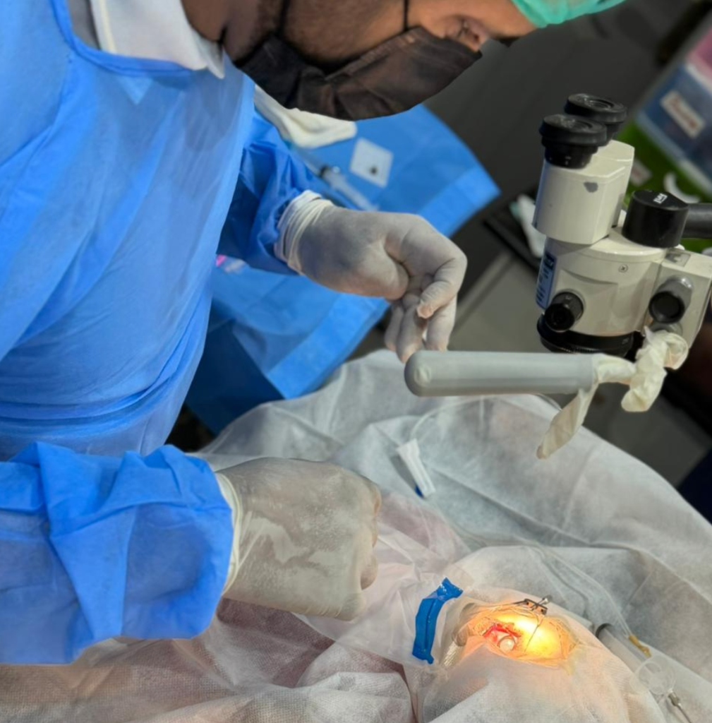 Close-up of pet cataract surgery being performed under surgical microscope at Abid Pets Hospital Lahore