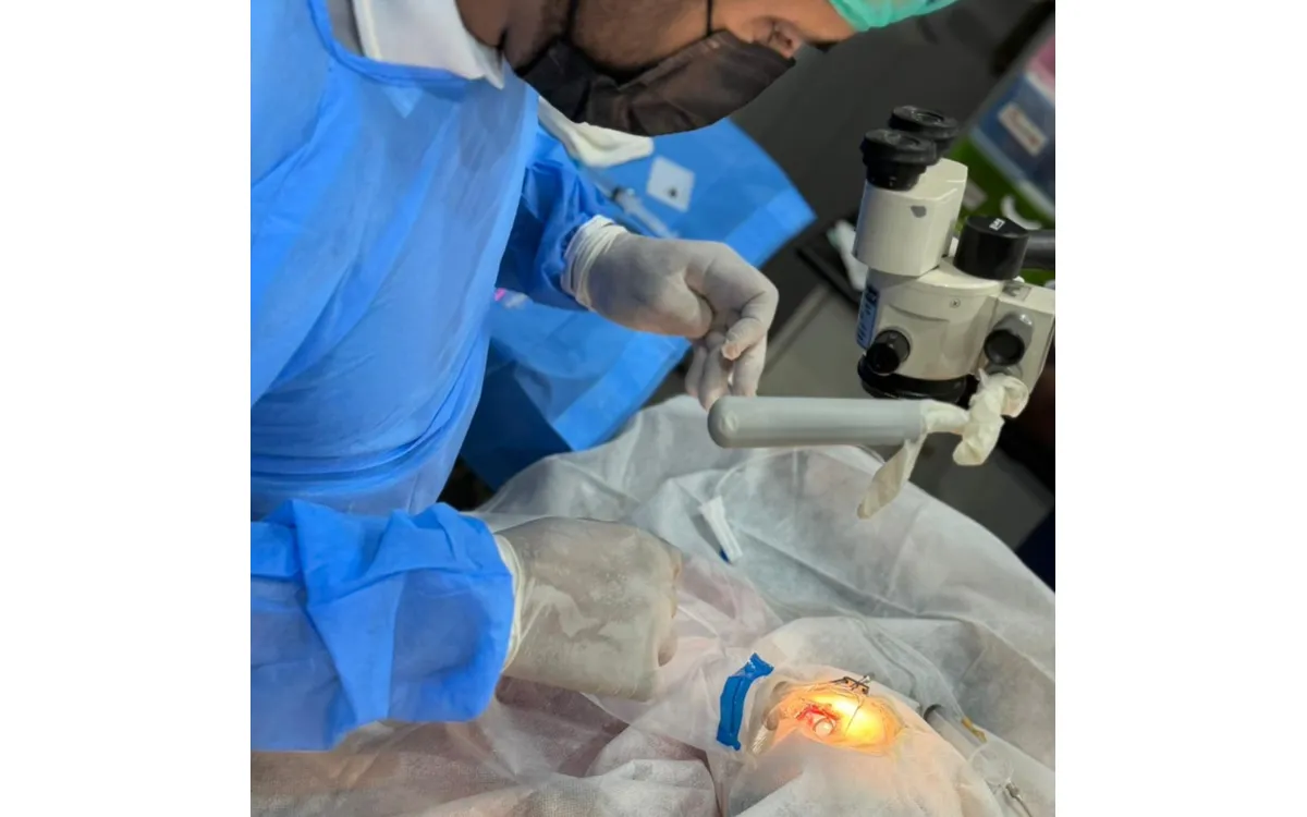 Pet Cataract Surgery Lahore