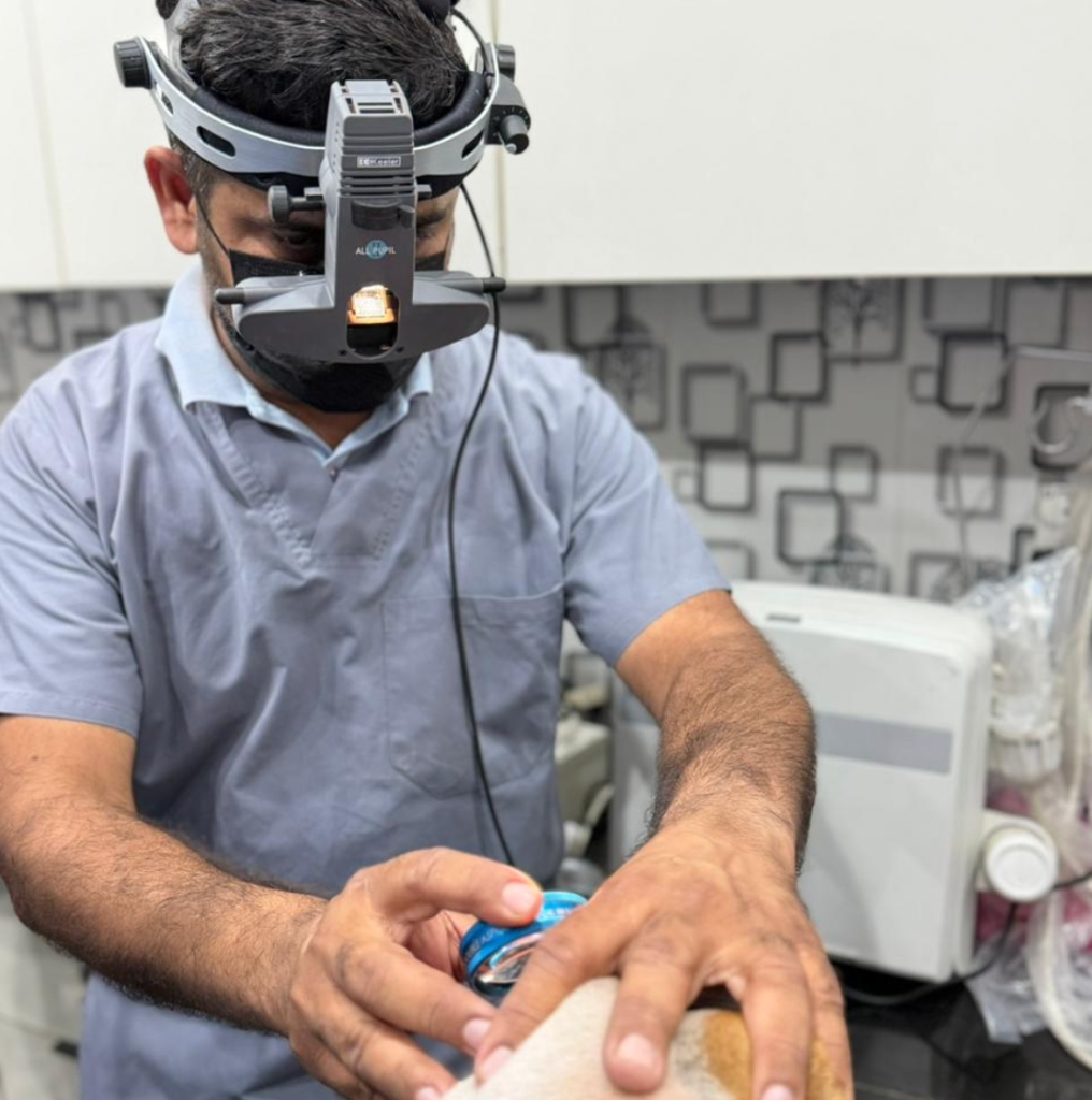 Dr. Abid performing eye examination on a dog using indirect ophthalmoscope at Abid Pets Hospital Lahore