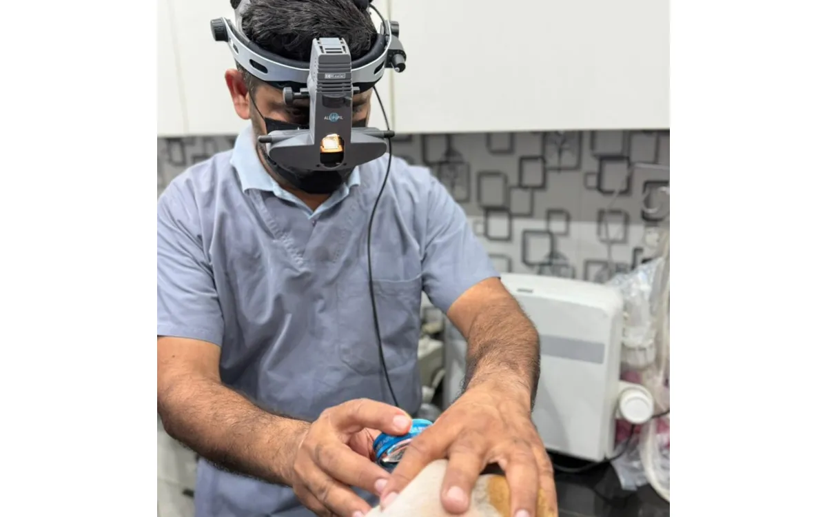 Pet Eye Examination Lahore