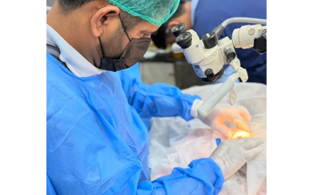 Pet Corneal Ulcer Treatment