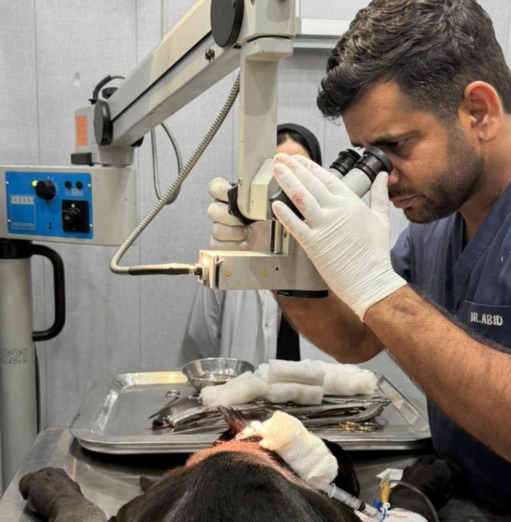 Dr. Abid performing eyelid correction surgery using Zeiss microscope on a dog at Abid Pets Hospital Lahore
